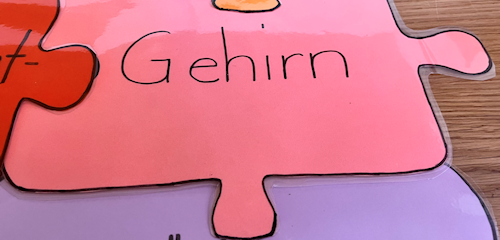 Gehirn