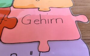 Puzzleteil Gehirn